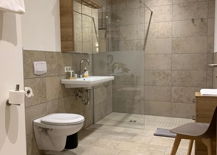 Schwan Hotel *