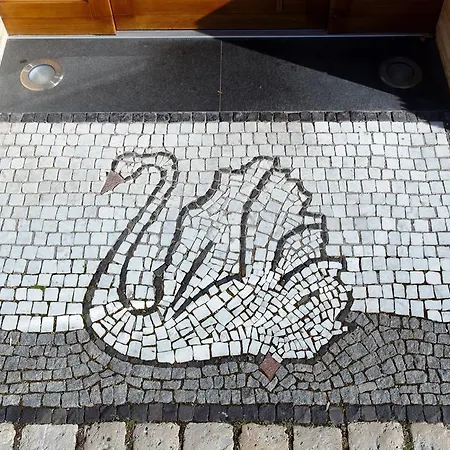 Schwan